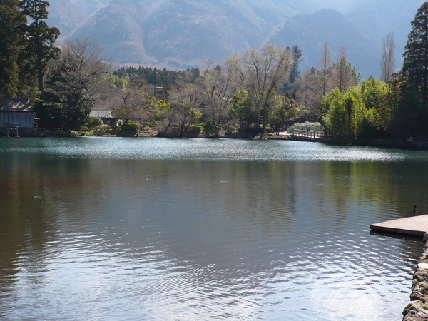 湯布院 金鱗湖