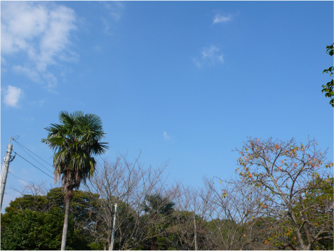 20081020220323