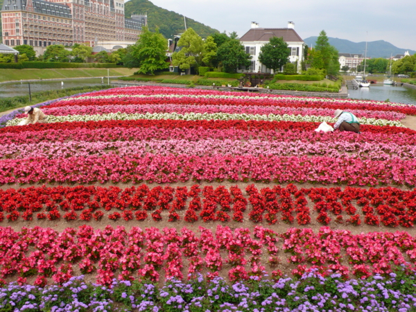 HUIS TEN BOSCH 090516