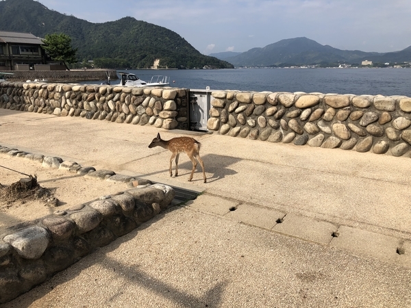 20190922084306
