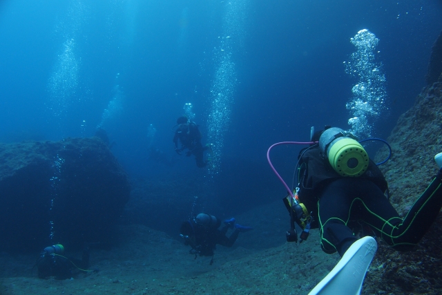 ダイビングをしている水中写真