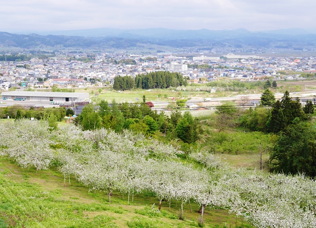 f:id:y-morit:20180511223058j:plain f:id:y-morit:20180511223058j:plain