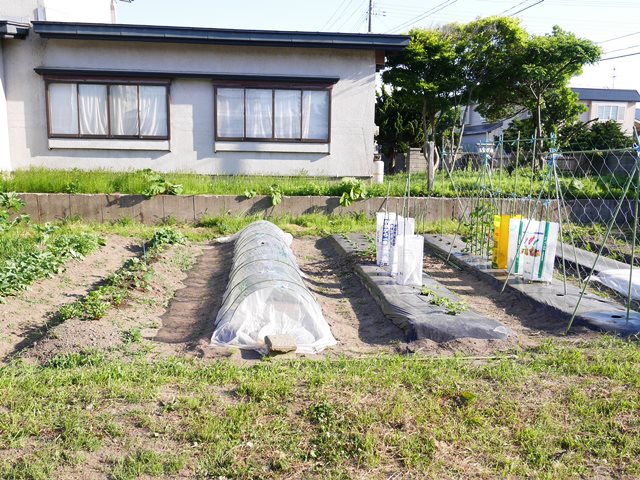 f:id:y-morit:20190604140005j:plain f:id:y-morit:20190604140005j:plain