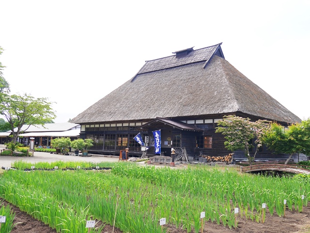 f:id:y-morit:20190613154731j:plain f:id:y-morit:20190613154731j:plain