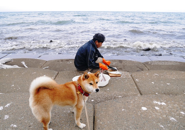 f:id:y-morit:20190622225209j:plain f:id:y-morit:20190622225209j:plain