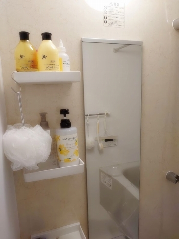 f:id:y-nerori:20220322080107j:plain