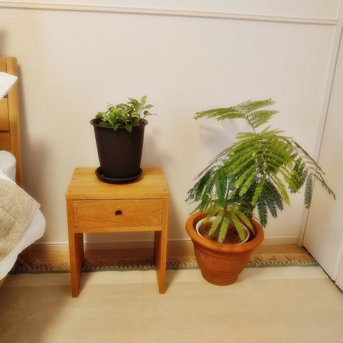 f:id:y-nerori:20220330133809j:plain