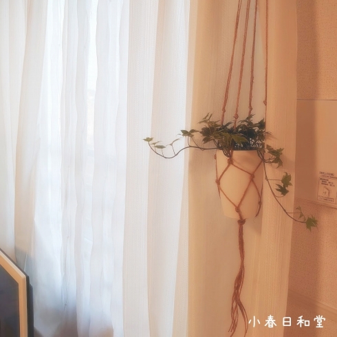 f:id:y-nerori:20220409103140j:plain