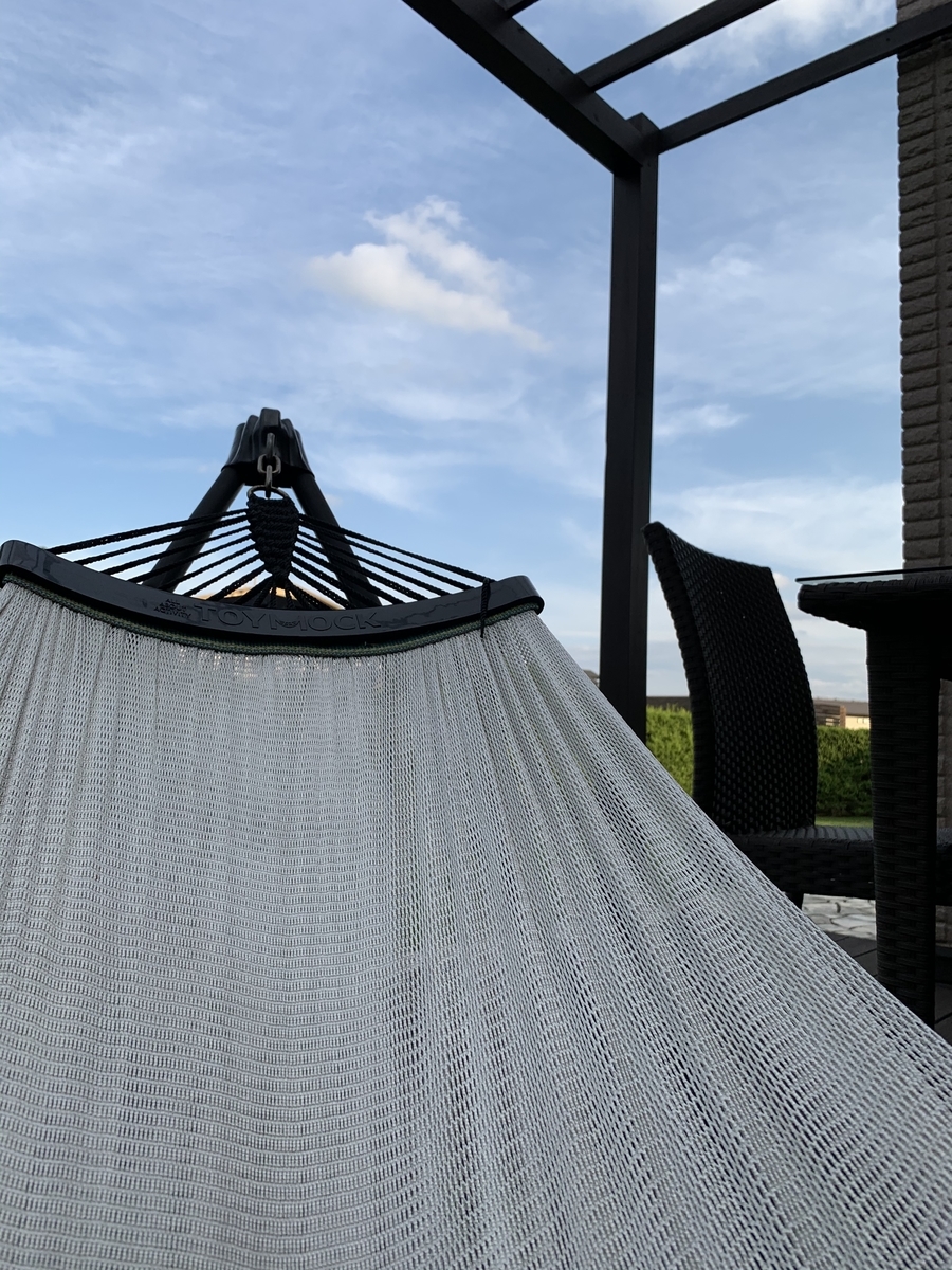 f:id:y-ogino:20200720070327j:plain