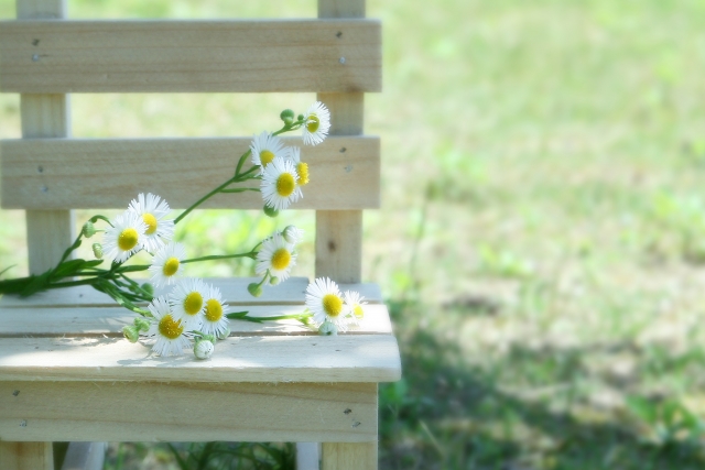 f:id:y-passage:20180430150642j:plain f:id:y-passage:20180430150642j:plain
