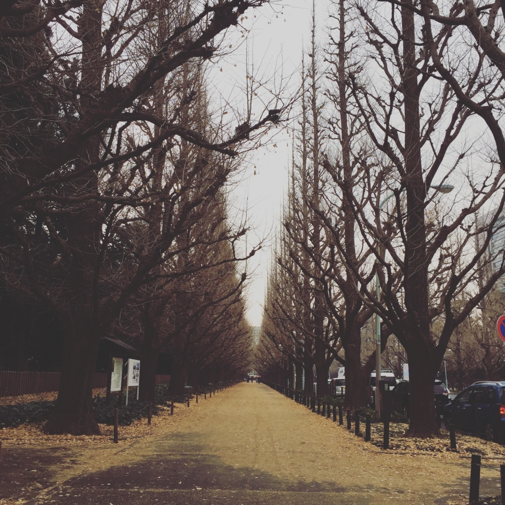f:id:y-piropiro:20161226231839j:plain f:id:y-piropiro:20161226231839j:plain