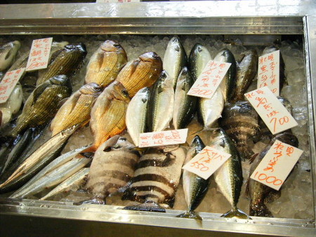 f:id:y-plane:20080523081206j:image