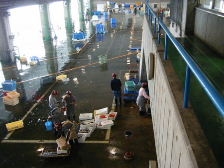 f:id:y-plane:20080523085134j:image