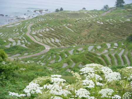 f:id:y-plane:20080524090601j:image