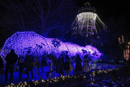 f:id:y-plane:20190115072023j:image f:id:y-plane:20190115072023j:image