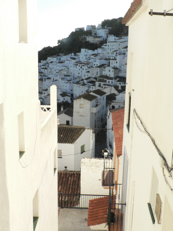 f:id:y-sag:20121228005533j:image f:id:y-sag:20121228005533j:image