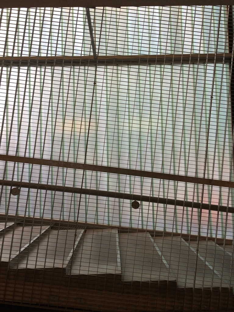 f:id:y-sag:20160329155151j:plain f:id:y-sag:20160329155151j:plain