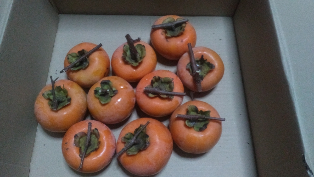 f:id:y-shio:20191107211544j:plain f:id:y-shio:20191107211544j:plain