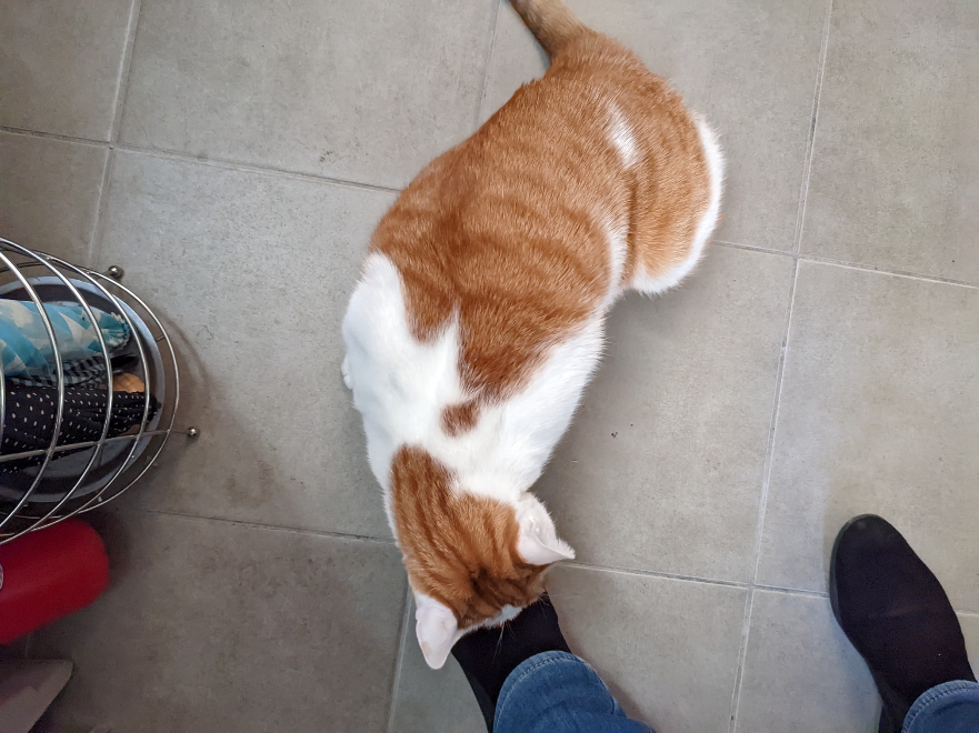 f:id:y-tanaka0115:20220107091343j:plain