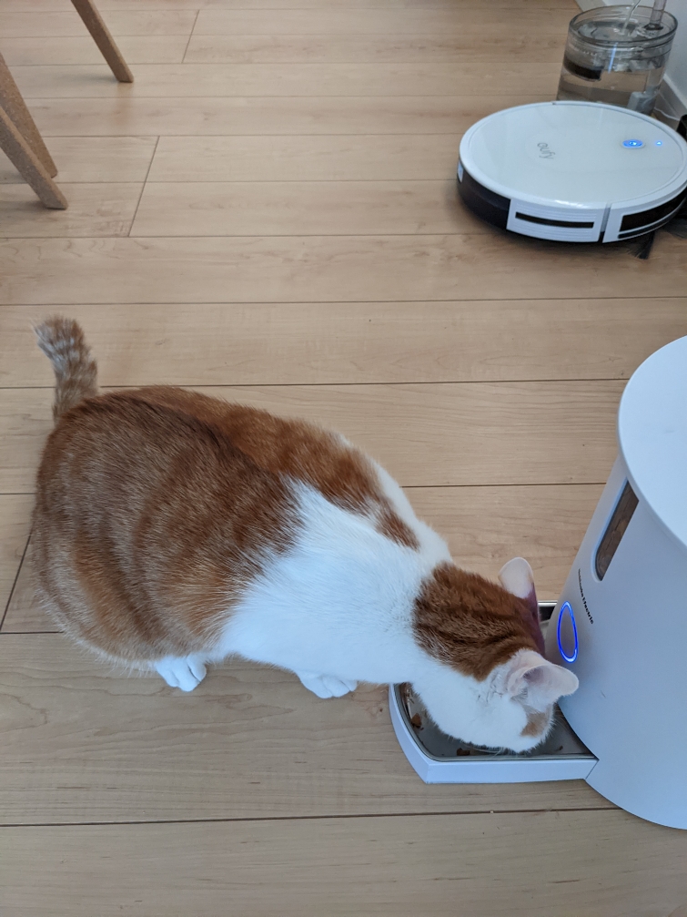 f:id:y-tanaka0115:20220107091522j:plain