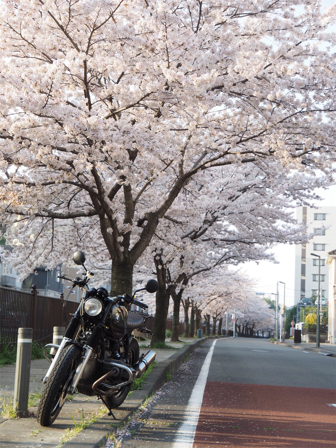 f:id:y-tao:20180403072215j:image f:id:y-tao:20180403072215j:image