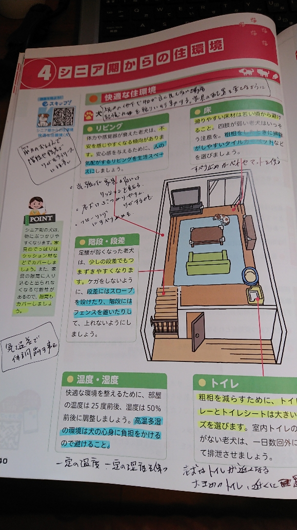 f:id:y-taroharu:20200920174458j:plain f:id:y-taroharu:20200920174458j:plain