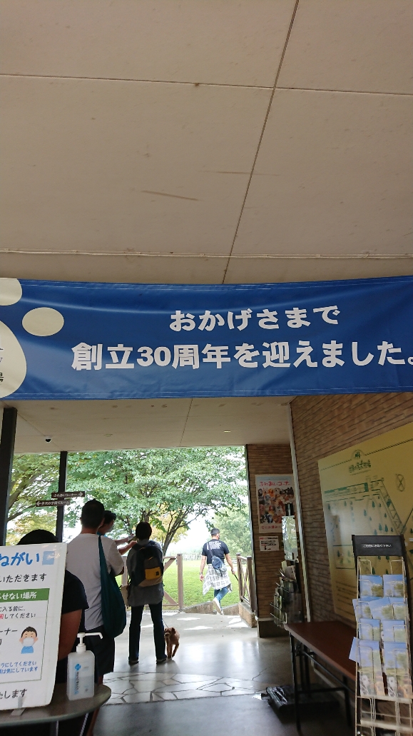 f:id:y-taroharu:20200922173039j:plain f:id:y-taroharu:20200922173039j:plain