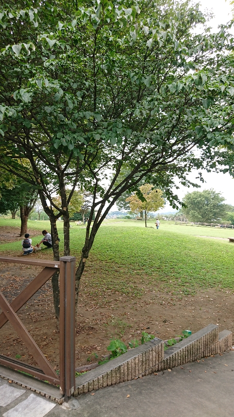 f:id:y-taroharu:20200922173102j:plain f:id:y-taroharu:20200922173102j:plain