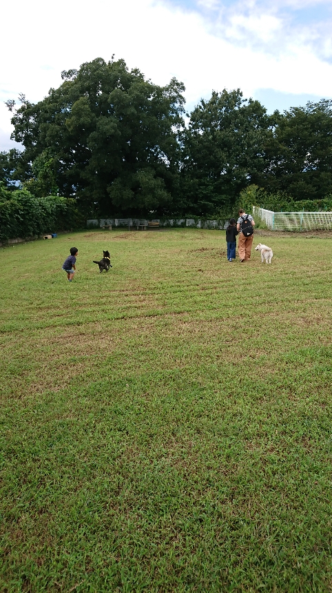 f:id:y-taroharu:20200922173155j:plain f:id:y-taroharu:20200922173155j:plain