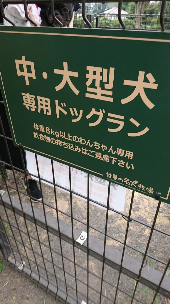 f:id:y-taroharu:20200922173208j:plain f:id:y-taroharu:20200922173208j:plain