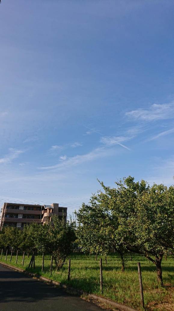 f:id:y-taroharu:20200922174338j:plain f:id:y-taroharu:20200922174338j:plain