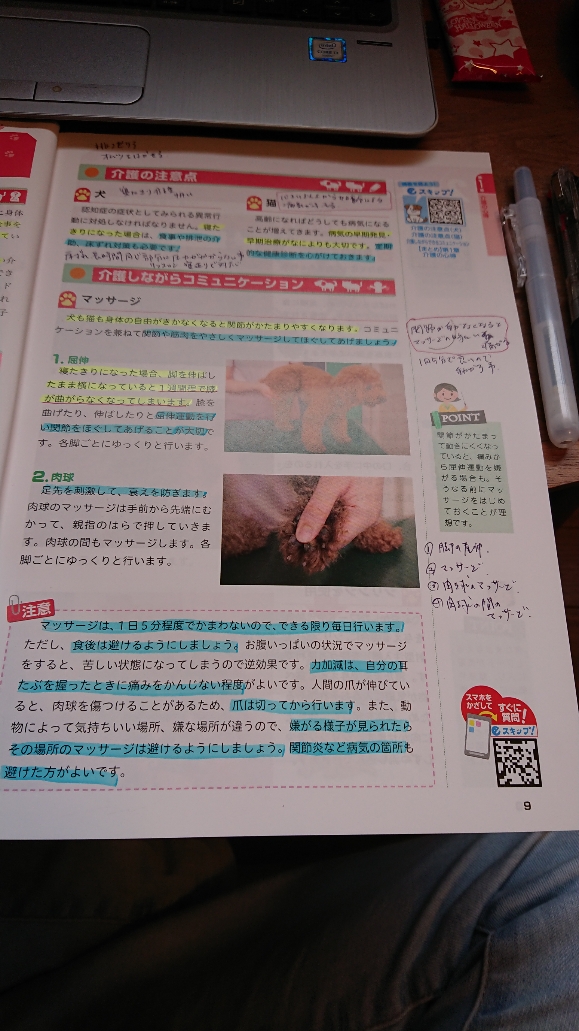 f:id:y-taroharu:20201011160645j:plain f:id:y-taroharu:20201011160645j:plain