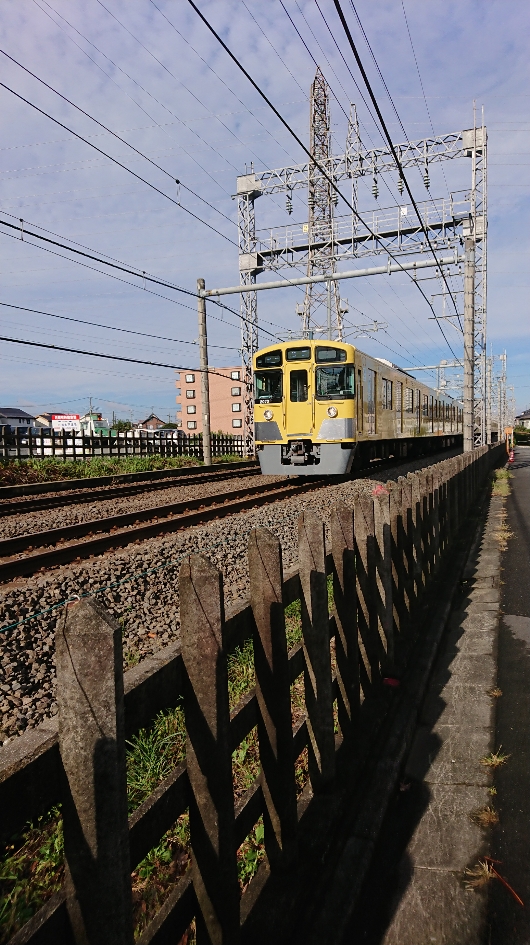 f:id:y-taroharu:20201018184455j:plain f:id:y-taroharu:20201018184455j:plain
