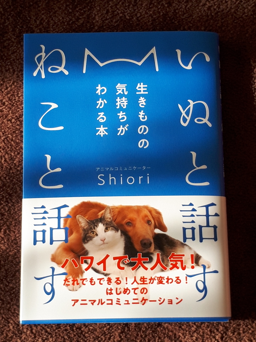 f:id:y-therapy:20191215210354j:plain
