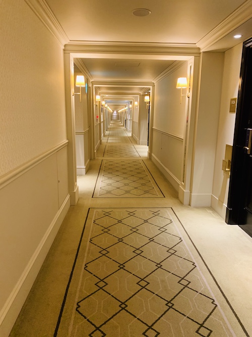 f:id:y-wai1030:20200905155759j:plain f:id:y-wai1030:20200905155759j:plain