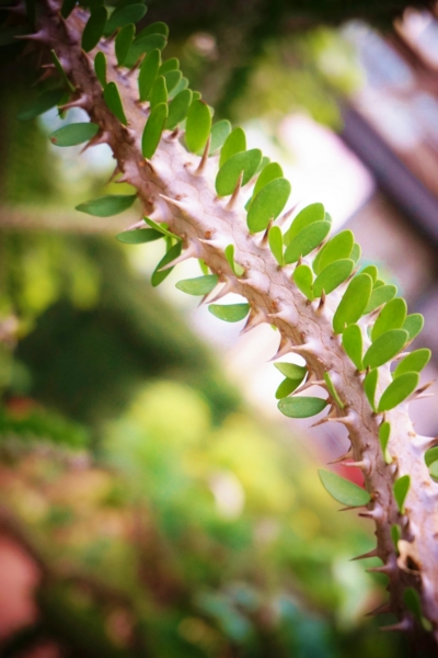 f:id:y0m0gi:20160729143953j:plain