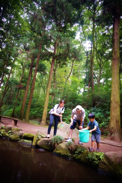 f:id:y0m0gi:20160729143954j:plain