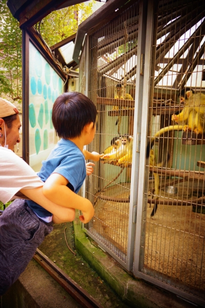 f:id:y0m0gi:20160729143959j:plain