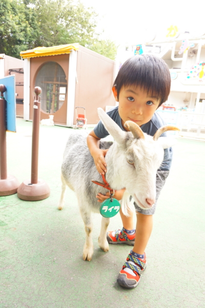 f:id:y0m0gi:20160730050853j:plain