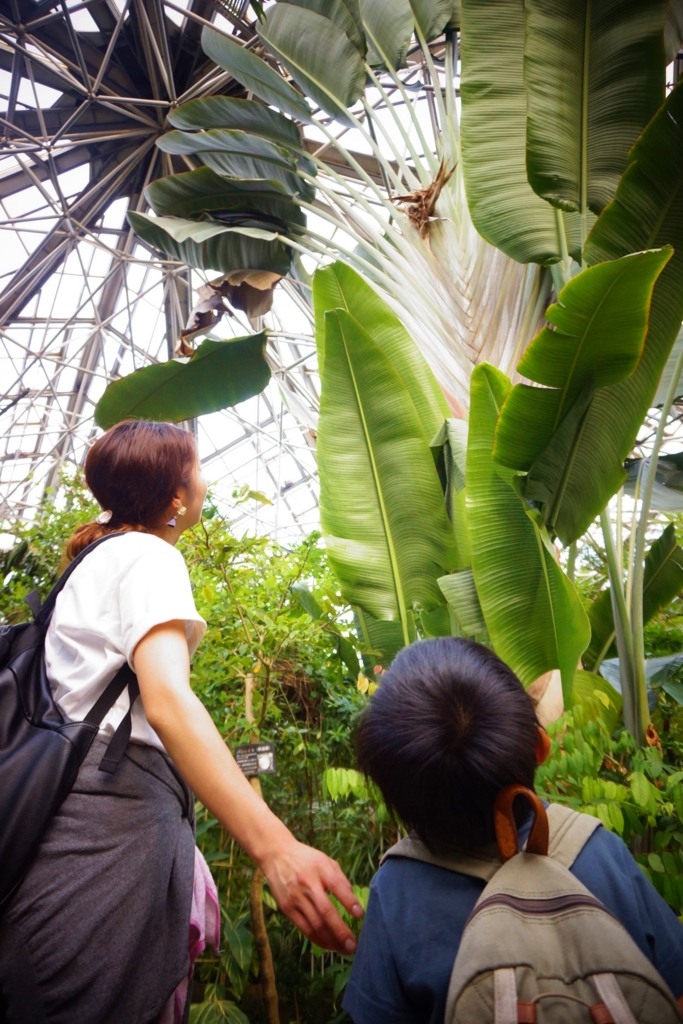 f:id:y0m0gi:20160730053937j:plain