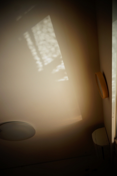 f:id:y0m0gi:20160802144051j:plain f:id:y0m0gi:20160802144051j:plain