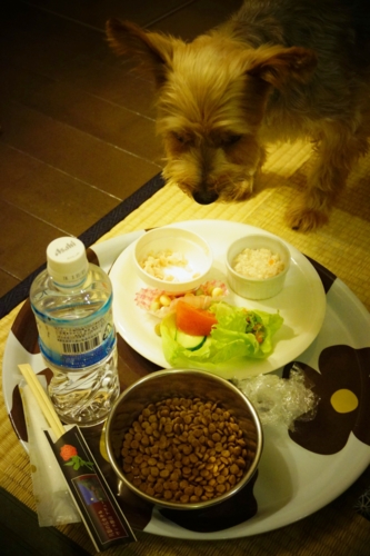 f:id:y0m0gi:20160922063815j:plain f:id:y0m0gi:20160922063815j:plain