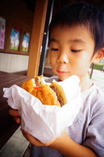 f:id:y0m0gi:20160922063819j:plain f:id:y0m0gi:20160922063819j:plain