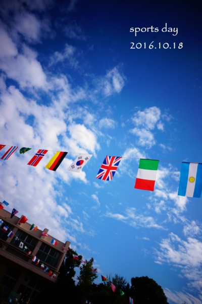 f:id:y0m0gi:20161022060152j:plain f:id:y0m0gi:20161022060152j:plain