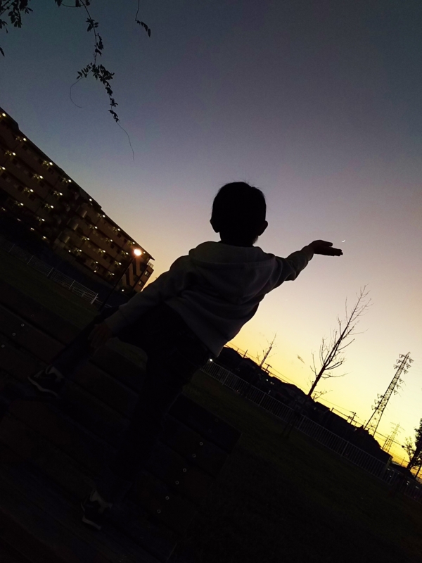 f:id:y0m0gi:20161104094102j:plain