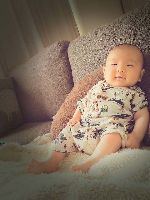 f:id:y0m0gi:20170113115208j:image f:id:y0m0gi:20170113115208j:image