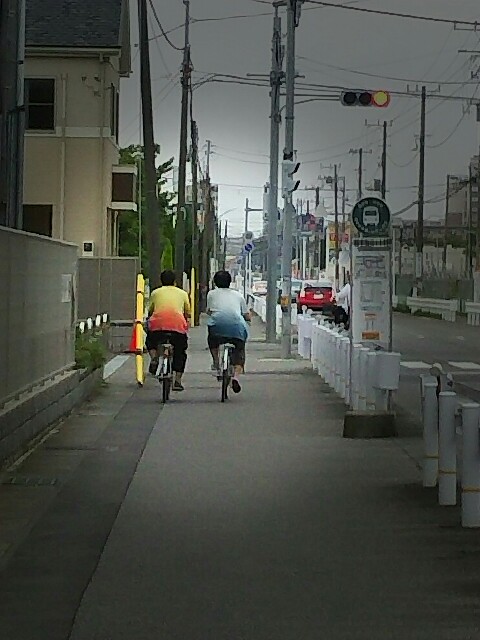 f:id:y0m0gi:20170113115707j:image f:id:y0m0gi:20170113115707j:image