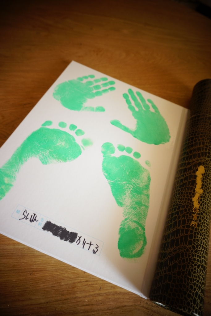 f:id:y0m0gi:20170325064209j:plain