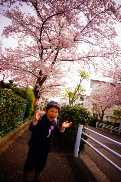f:id:y0m0gi:20170411041604j:plain