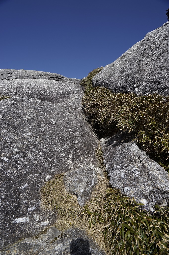 f:id:y0my:20160806085349j:plain